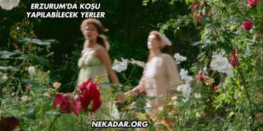 Erzurum'da Koşu Yapılabilecek Yerler