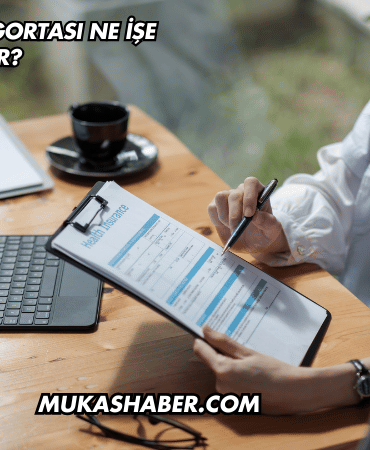 Evcil Hayvan Sigortası Ne İşe Yarar?