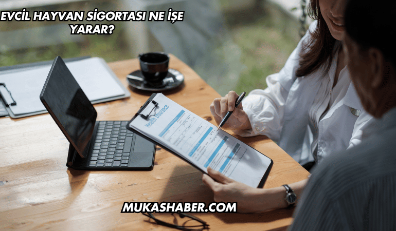 Evcil Hayvan Sigortası Ne İşe Yarar?