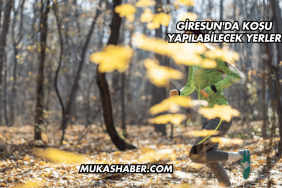 Giresun'da Koşu Yapılabilecek Yerler