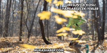 Giresun'da Koşu Yapılabilecek Yerler