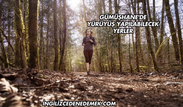 Gümüşhane'de Yürüyüş Yapılabilecek Yerler