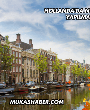 Hollanda'da Nelere Yatırım Yapılmalıdır?