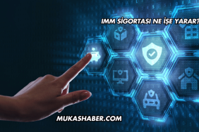 IMM Sigortası Ne İşe Yarar?