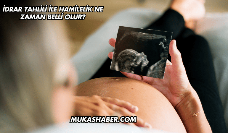 İdrar Tahlili ile Hamilelik Ne Zaman Belli Olur?