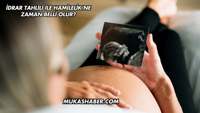 İdrar Tahlili ile Hamilelik Ne Zaman Belli Olur?