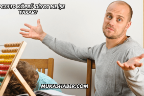 KBPC3510 Köprü Diyot Ne İşe Yarar?