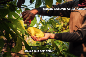 Kakao Sabunu Ne İşe Yarar?