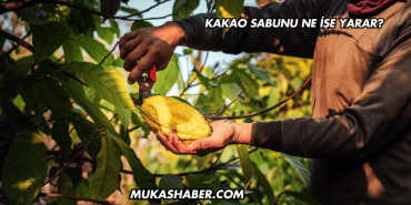 Kakao Sabunu Ne İşe Yarar?