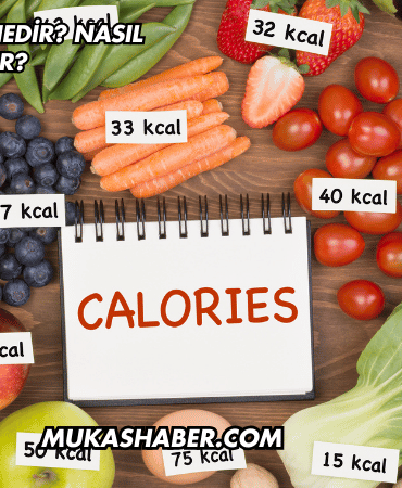Kalori Diyeti Nedir? Nasıl Yapılır?