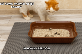 Kedi Kumu Paspası Ne İşe Yarar?