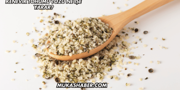 Kenevir Tohumu Tozu Ne İşe Yarar?