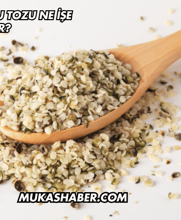 Kenevir Tohumu Tozu Ne İşe Yarar?
