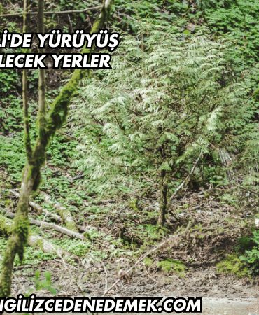 Kırklareli'de Yürüyüş Yapılabilecek Yerler