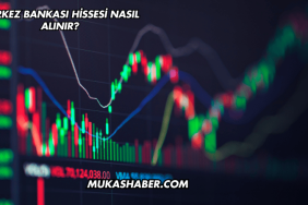 Merkez Bankası Hissesi Nasıl Alınır?