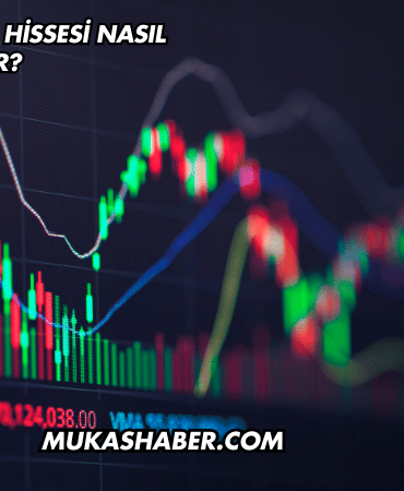 Merkez Bankası Hissesi Nasıl Alınır?