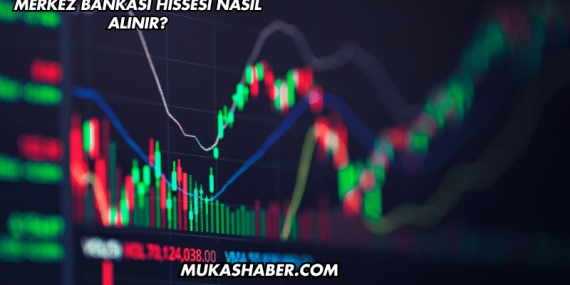 Merkez Bankası Hissesi Nasıl Alınır?