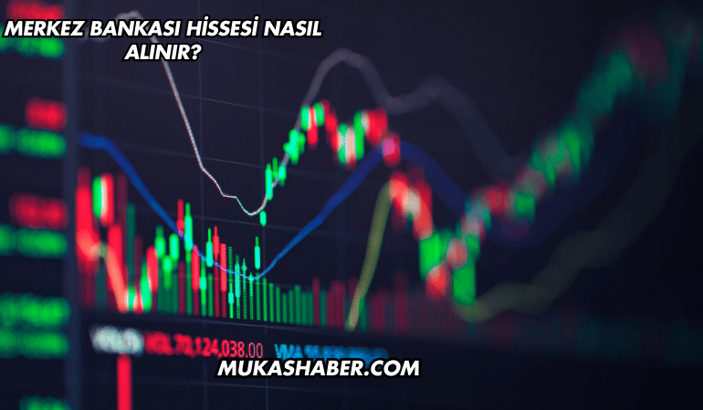 Merkez Bankası Hissesi Nasıl Alınır?