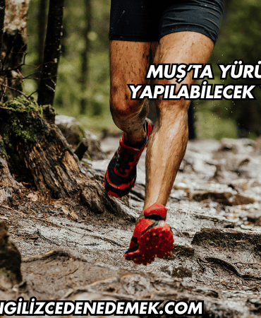 Muş’ta Yürüyüş Yapılabilecek Yerler