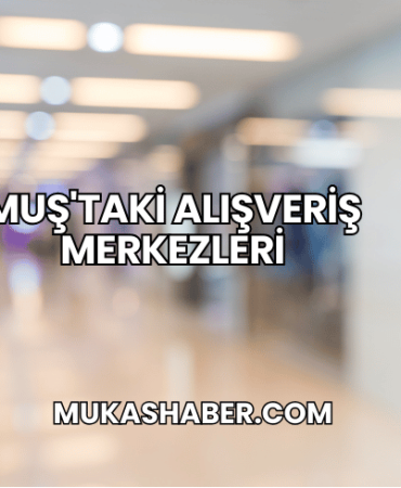Muş'taki Alışveriş Merkezleri