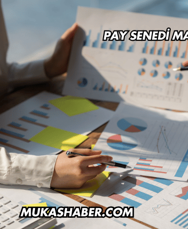Pay Senedi Maliyeti 2025