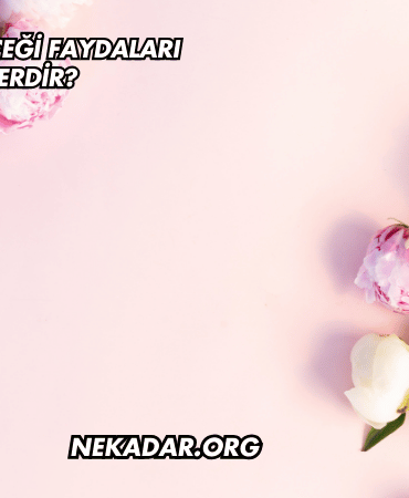 Şakayık Çiçeği Faydaları Nelerdir?