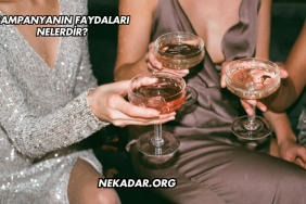 Şampanyanın Faydaları Nelerdir?