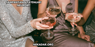 Şampanyanın Faydaları Nelerdir?