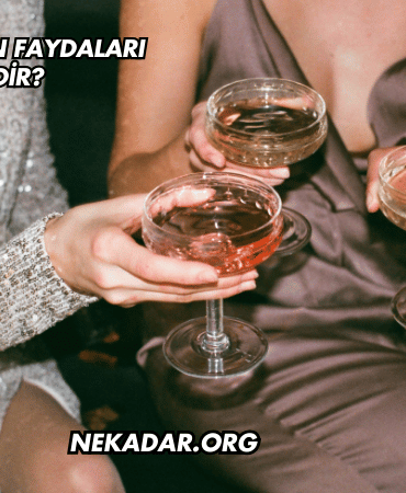 Şampanyanın Faydaları Nelerdir?