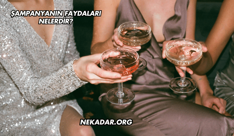 Şampanyanın Faydaları Nelerdir?