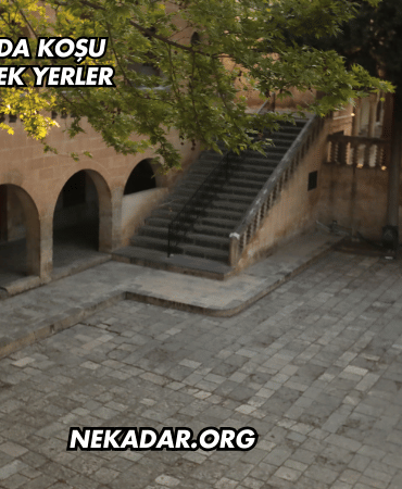 Şanlıurfa'da Koşu Yapılabilecek Yerler