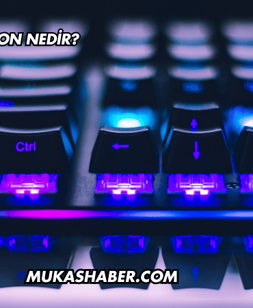 Seafight Kupon Nedir?