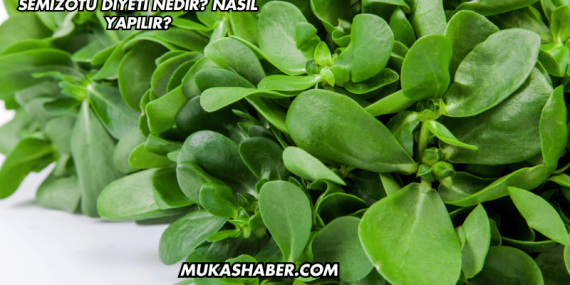 Semizotu Diyeti Nedir? Nasıl Yapılır?