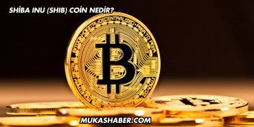 Shiba Inu (SHIB) Coin Nedir?