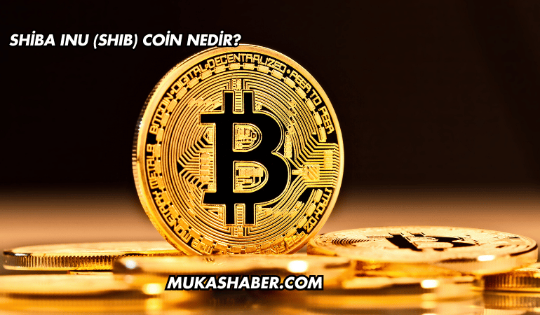 Shiba Inu (SHIB) Coin Nedir?