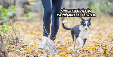 Siirt’te Yürüyüş Yapılabilecek Yerler