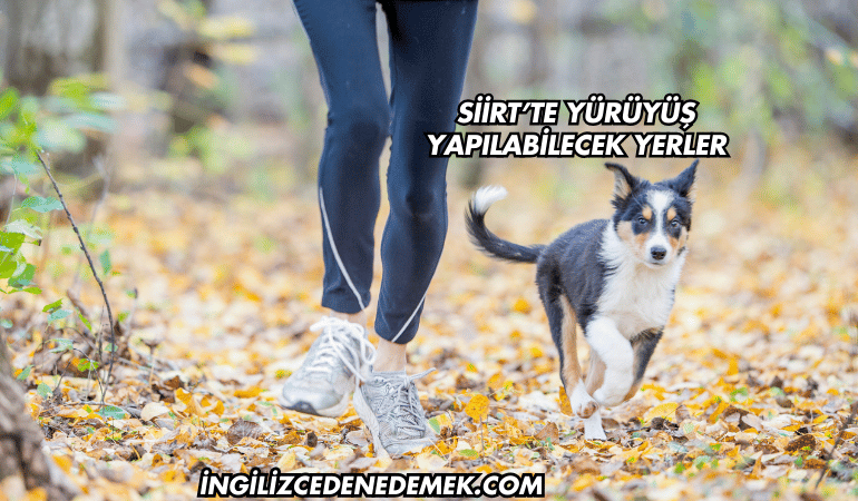 Siirt’te Yürüyüş Yapılabilecek Yerler