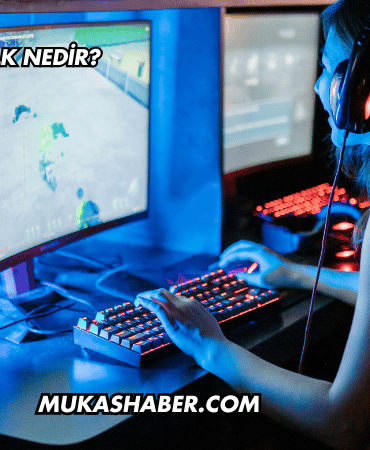 Silkroad Silk Nedir?