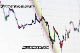 Şirket Hissesi Nasıl Alınır?