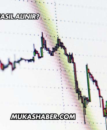 Şirket Hissesi Nasıl Alınır?