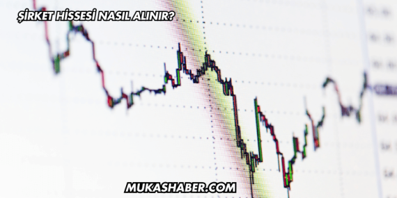 Şirket Hissesi Nasıl Alınır?