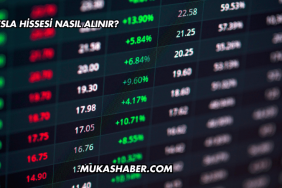 Tesla Hissesi Nasıl Alınır?