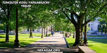 Tunceli'de Koşu Yapılabilecek Yerler