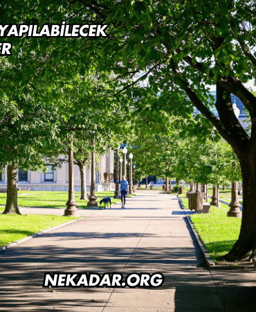 Tunceli'de Koşu Yapılabilecek Yerler