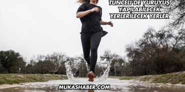 Tunceli’de Yürüyüş Yapılabilecek Yerler