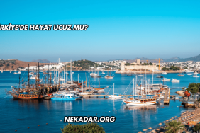 Türkiye'de Hayat Ucuz mu?