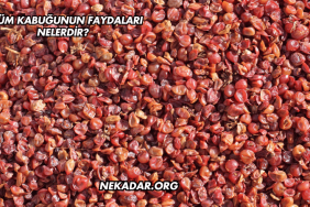 Üzüm Kabuğunun Faydaları Nelerdir?