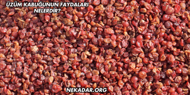 Üzüm Kabuğunun Faydaları Nelerdir?