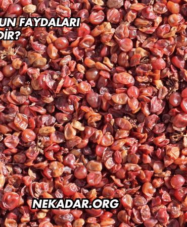 Üzüm Kabuğunun Faydaları Nelerdir?