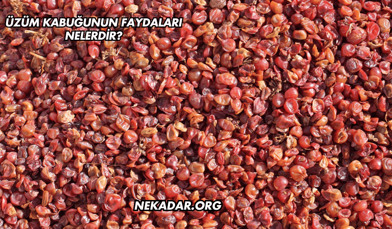 Üzüm Kabuğunun Faydaları Nelerdir?